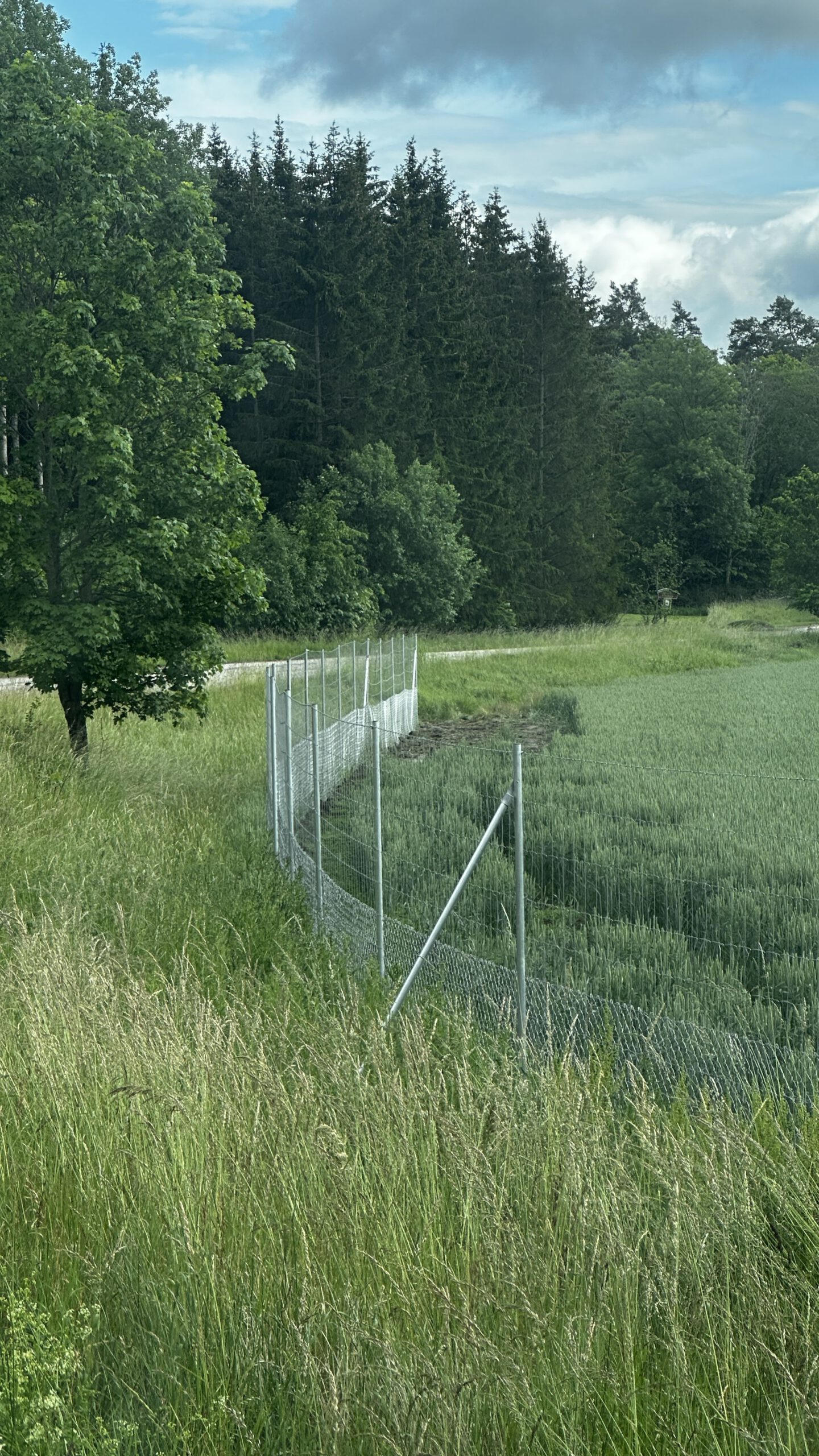 Väg 218 Trosa-Vagnhärad